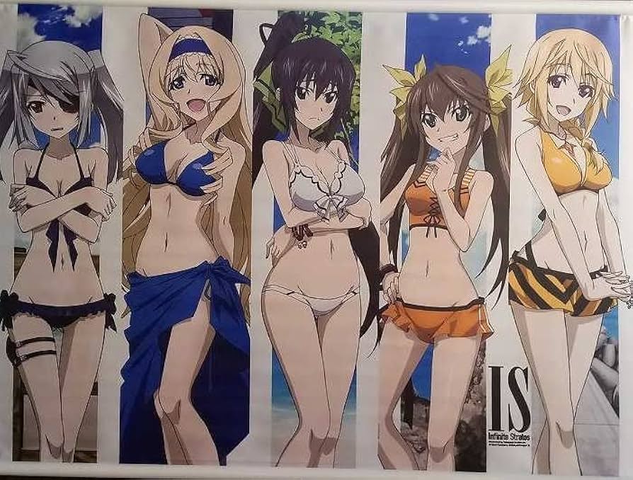 Amazon.co.jp: IS インフィニット・ストラトス 特製小説 CD