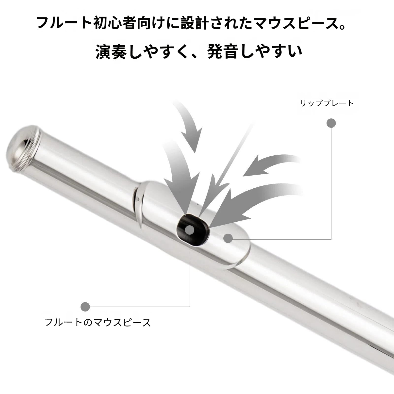 Amazon | 初心者向け フルート | フルート | 楽器・音響機器