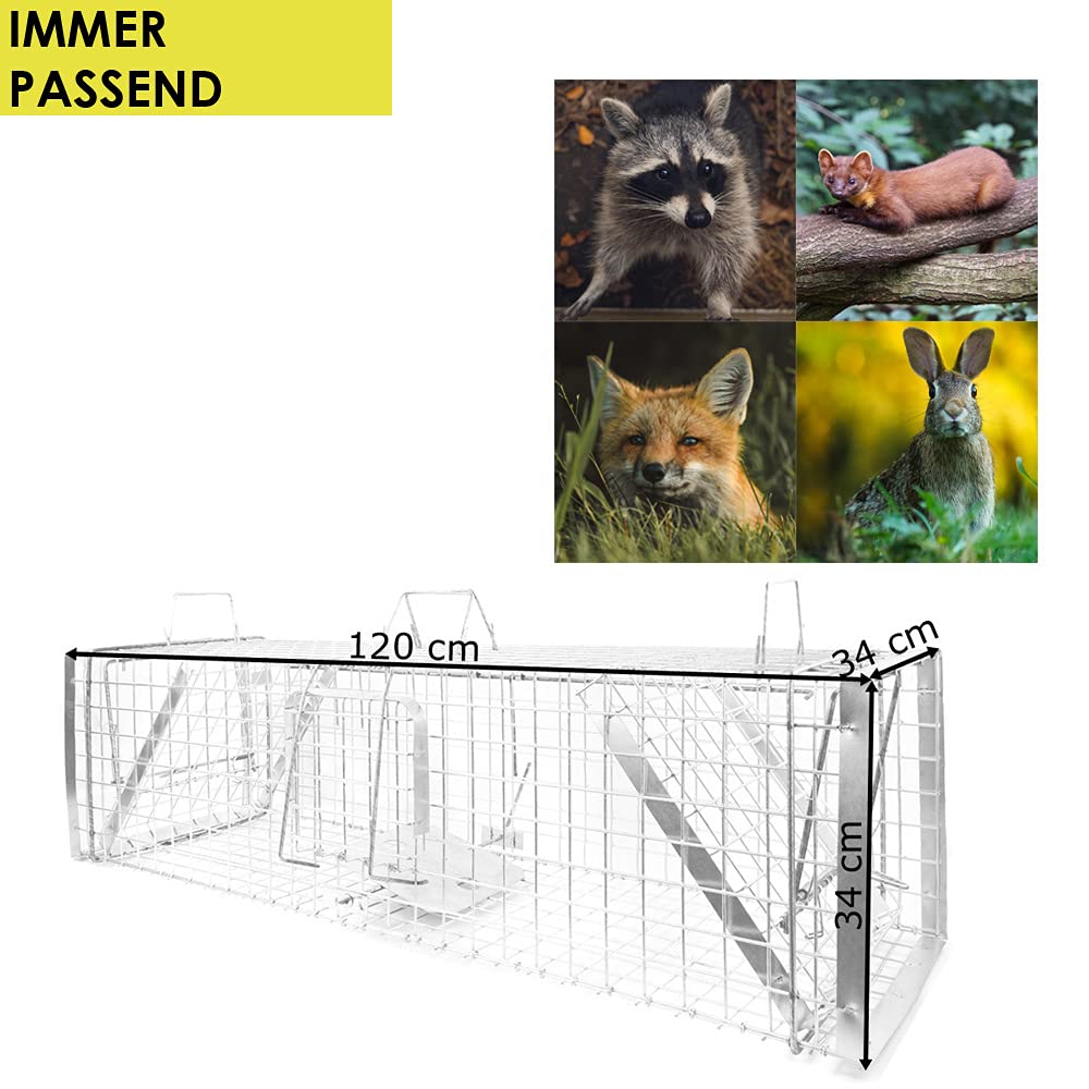 Animales Humane Trampa Jaula Captura Gato Zorro Mapache Castor 120 x 34 x 34 cm Petigi