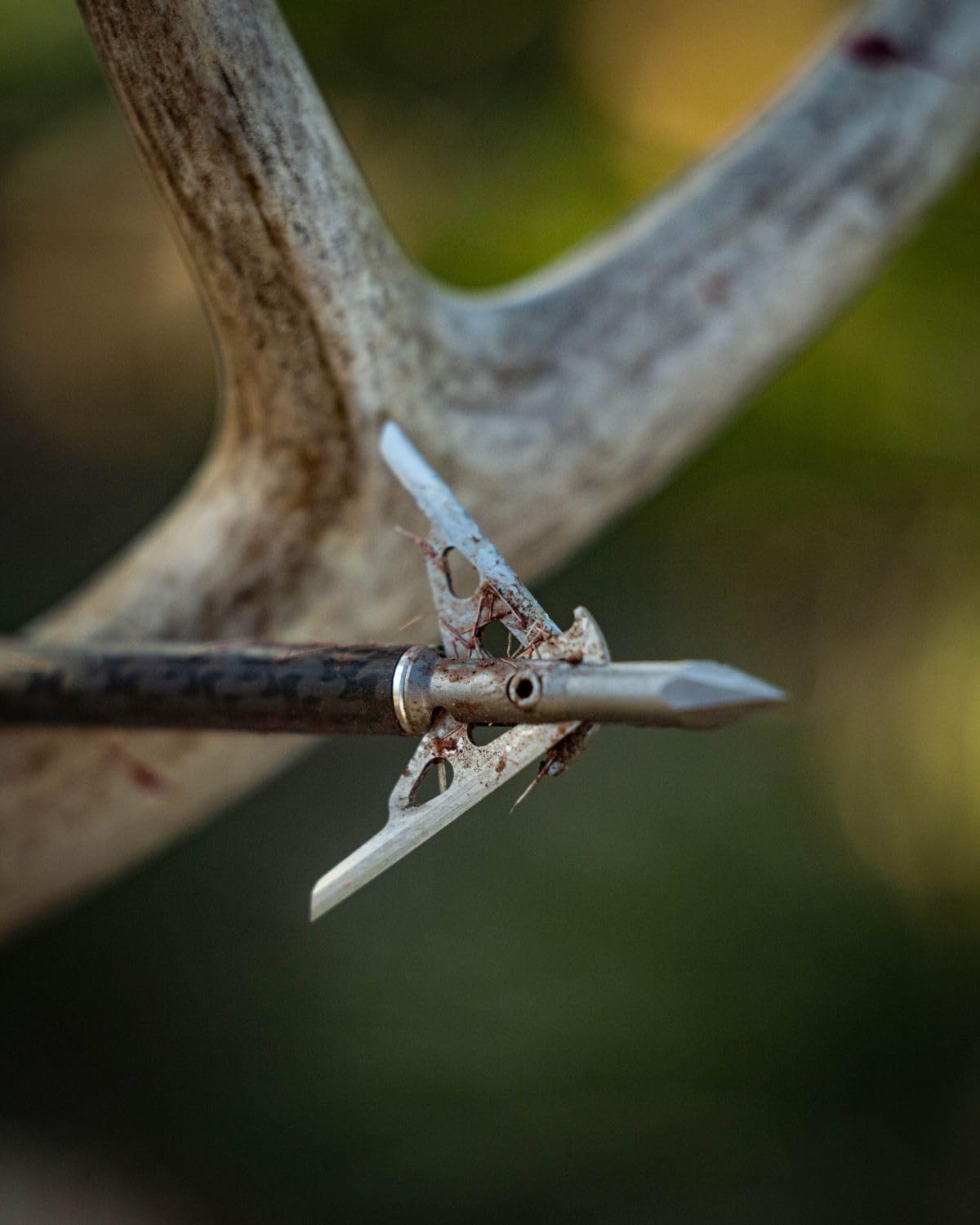 G5 T2 Expandable 2-Blade Broadheads | 3-Pack | 100/125 Grains | Razor Sharp 2" Cutting Diameter Mechanical Blades | Screw in | Compound & Recurve Compatible