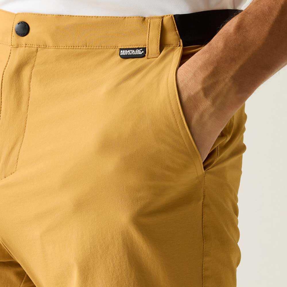 Regatta Herren Shorts A-insttvlltshts