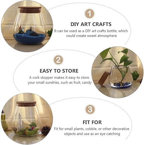 Miniatura 5 de Estación de propagación de plantas, jarrón de vidrio de terrario con soporte de corcho transparente para plantas, tarros de flores, soporte para