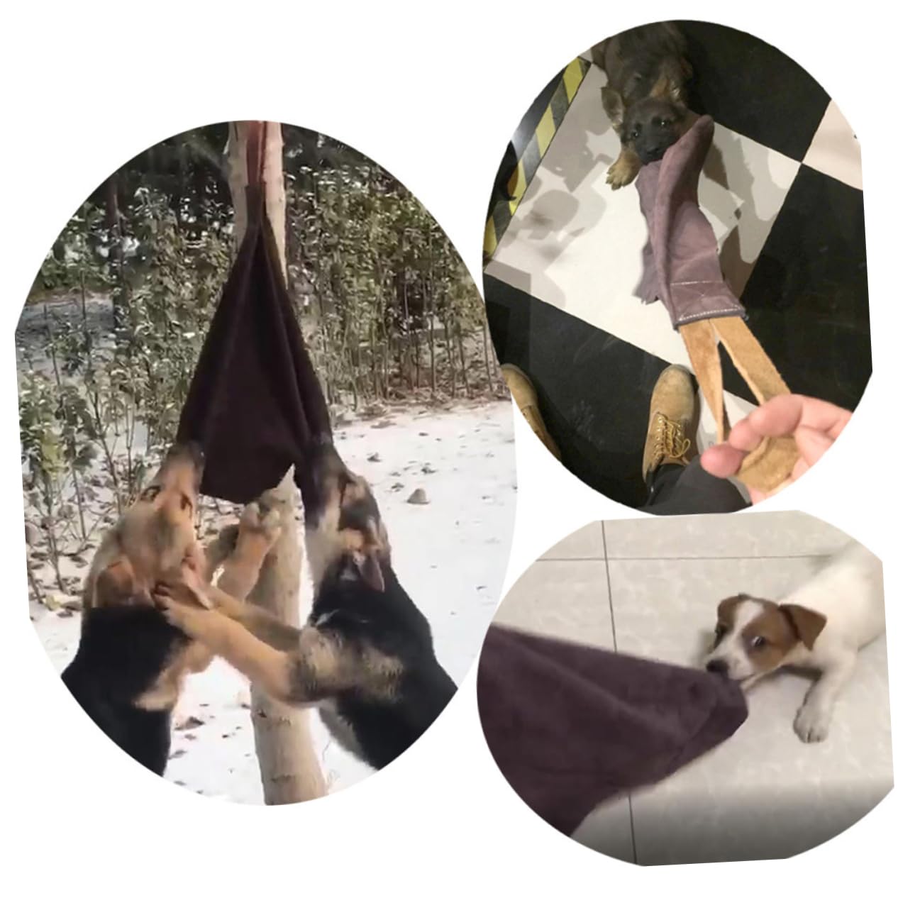 Abaodam Hundespielzeug Robustes Haustierbisstuch Sicher und Umweltfreundlich Dickes Rindsleder Zufällige Farbe für Effektives Hundetraining zu Hause und Laden