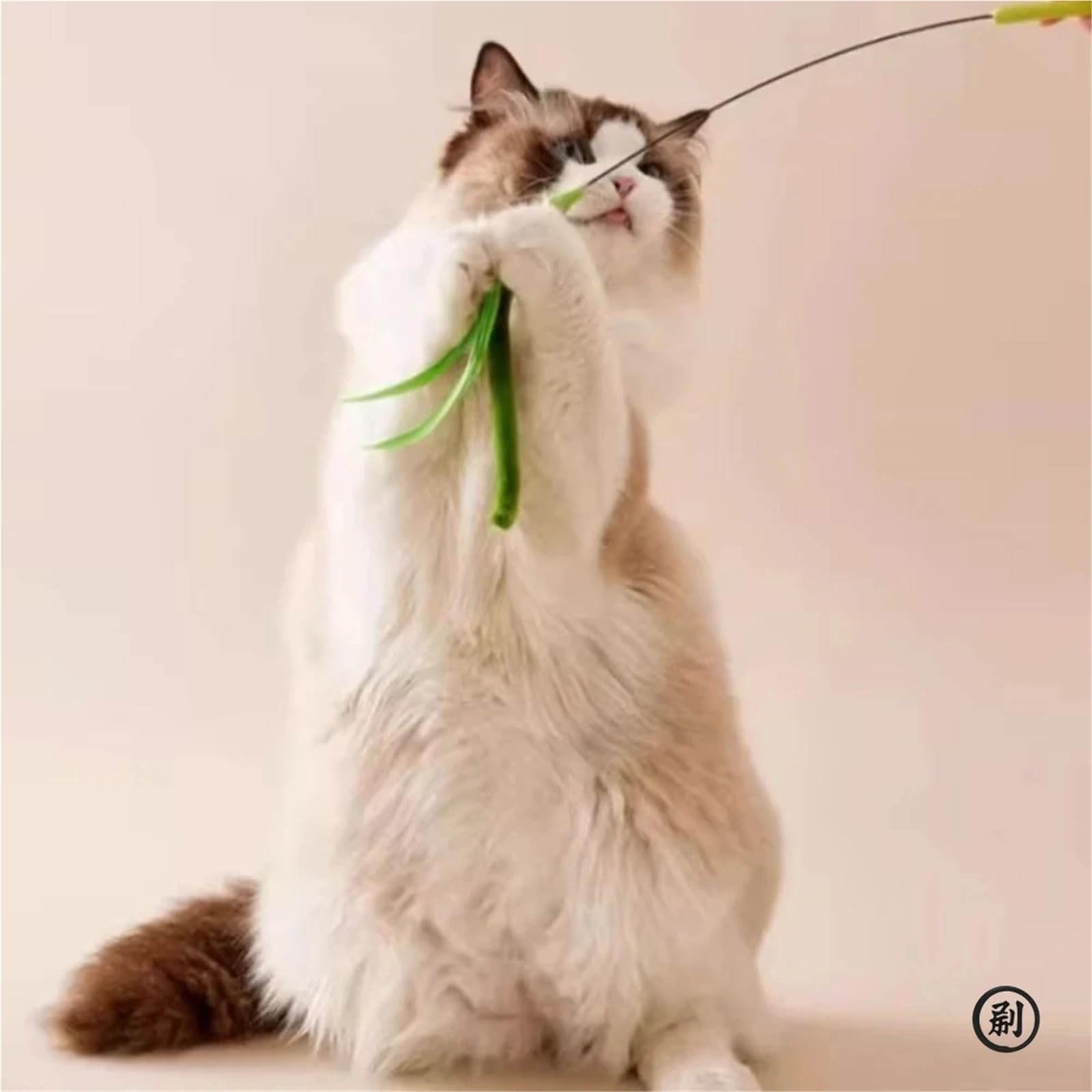 Juegos para Gatos Juguete Interactivo for Gatos con Cola de Hierba, Plumas y Salvia. Palo Largo for Jugar con Gatitos. Resistente a mordiscos y con Sonido.(Green)