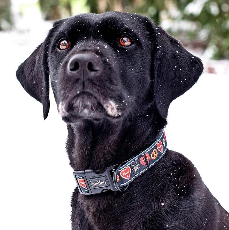 Hundehalsband Trachtenlook bayrisch Alpen Herzen gepolstert Neopren schwarz Halsband Nylon verstellbar exklusiv weich 32-50 cm x 2,5 cm breit