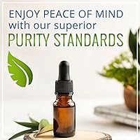 Vista 7 de Suplemento de hierro líquido para mujeres, gotas de hierro sublinguales de alta potencia, líquido vegano, sabor insípido, suplemento premium