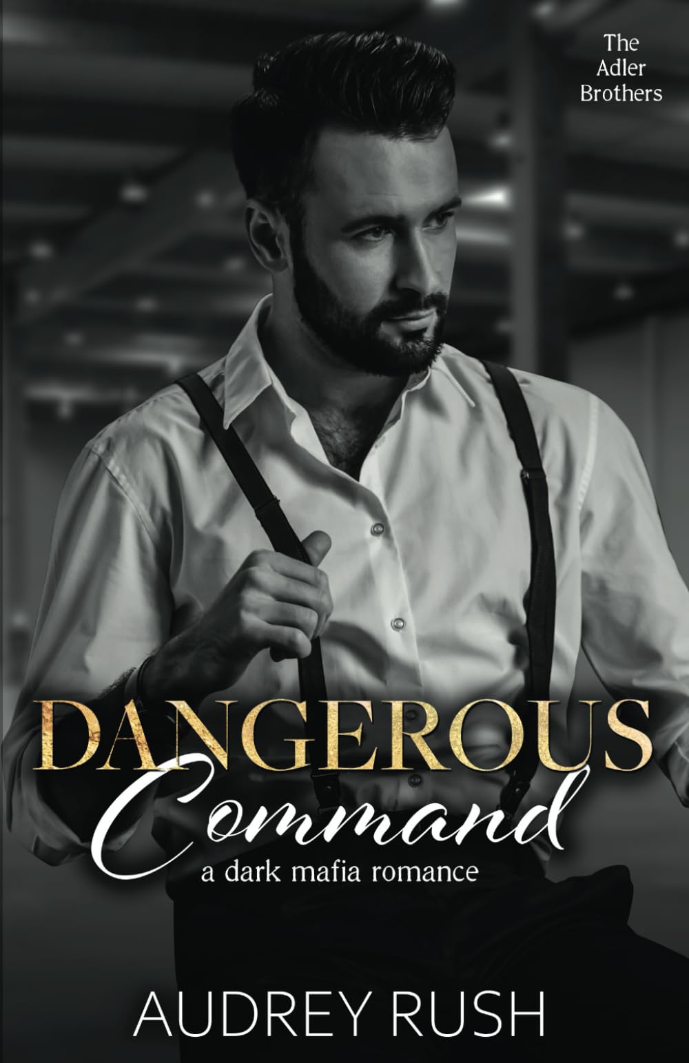 Dangerous Command: A Dark Mafia Romance: 3 (The Adler Brothers)
