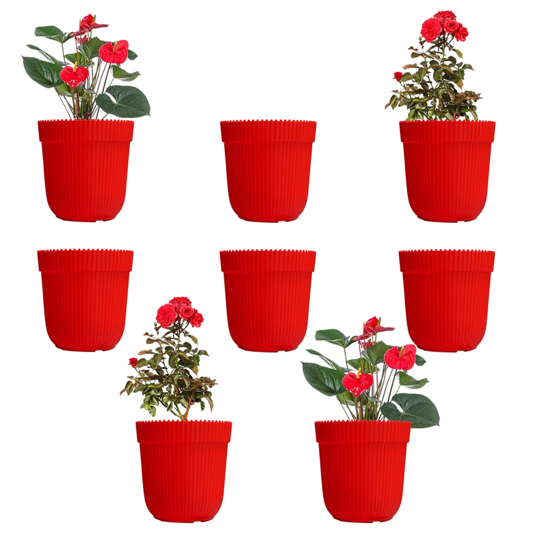 Greenri Rim 5 (Pack of 8) UV Resistant Plastic Flower Pot for Living Room, Outdoor & Indoor Round Shape|Flawless Quality| Designer Gardening Flower Planter Pot (Red Color) (B09GM8SVFN) Amazon Price History, Amazon Price Tracker
