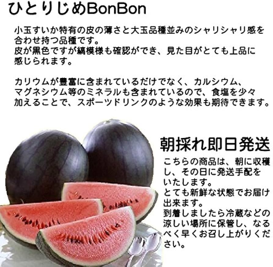 すいかの皮様確認専用ページ | fpfs.com.py