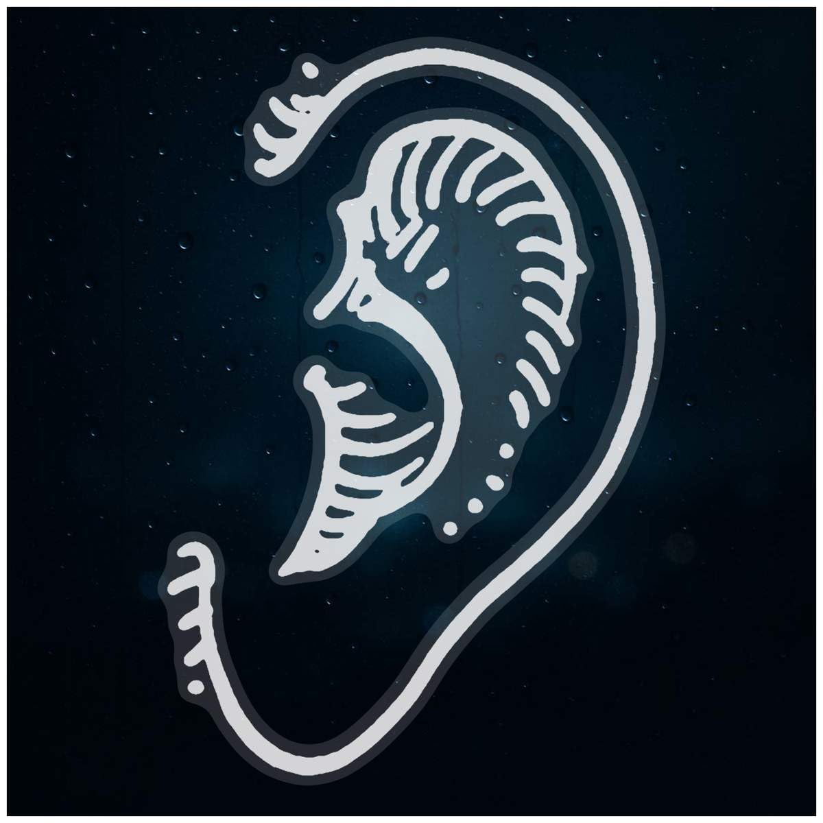 Azeeda Large 460mm 'Ear' Clear Static Window Cling Sticker/Decal (White) (WC00041991)
