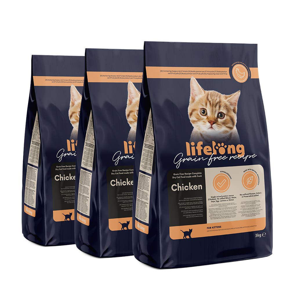 publix kitten food