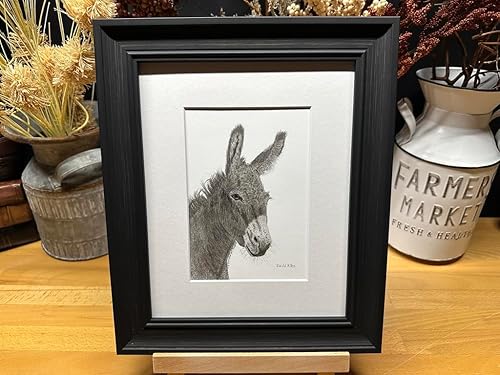 Donkey Mule Nature Wildlife Graphite Pencil Art Sketch Drawing Print Picture Limited Edition ~ 'A Jenny For Your Thoughts' by David Allen (8x10