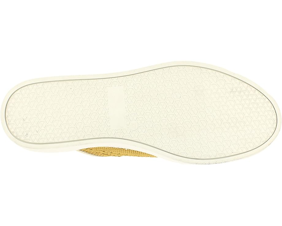 Bullboxer Annete - Bottom View