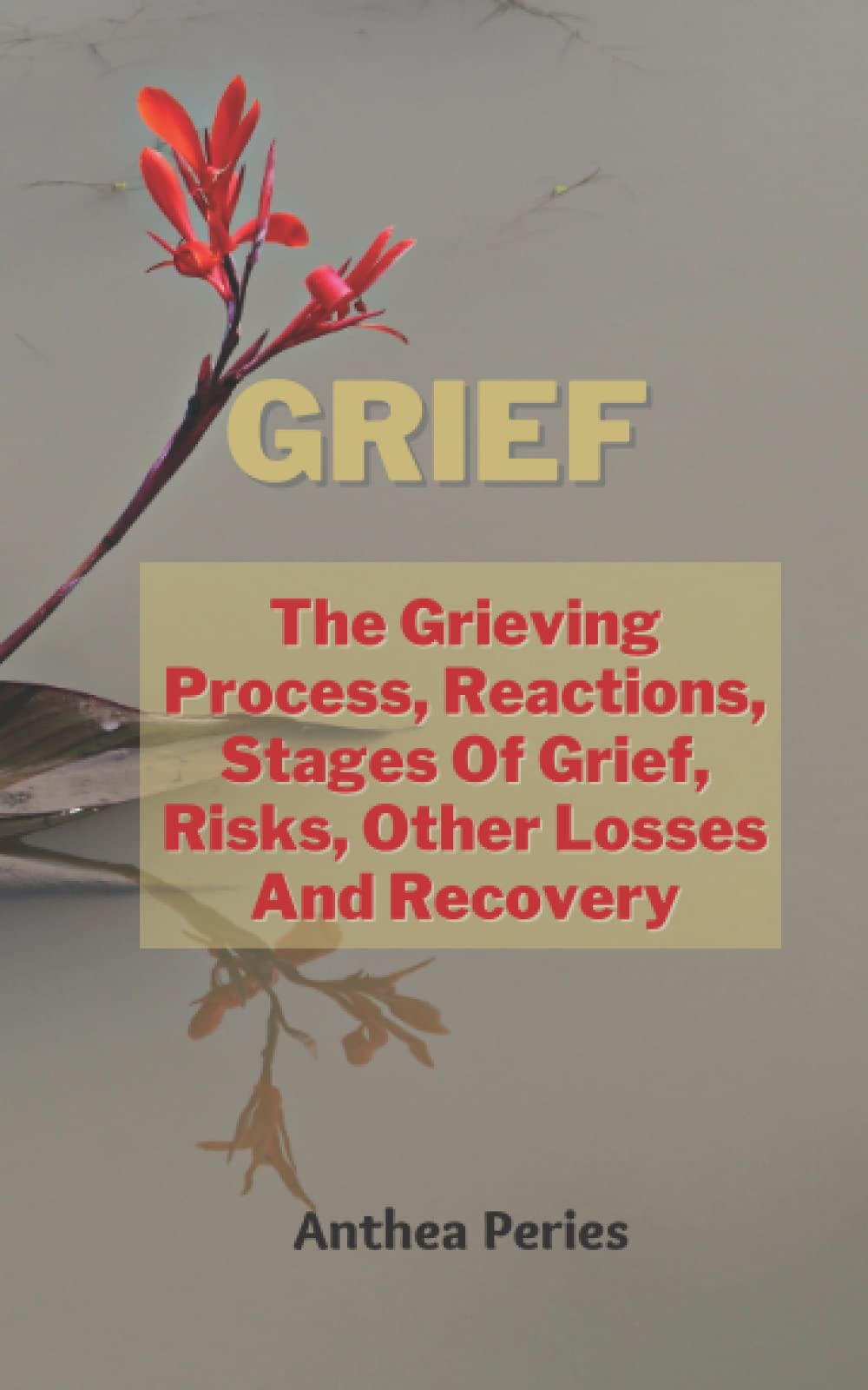 Grief: The Grieving Process, Reactions, Stages Of Grief, Risks, Other Losses And Recovery (Books on Bereavement, Death and Grief)