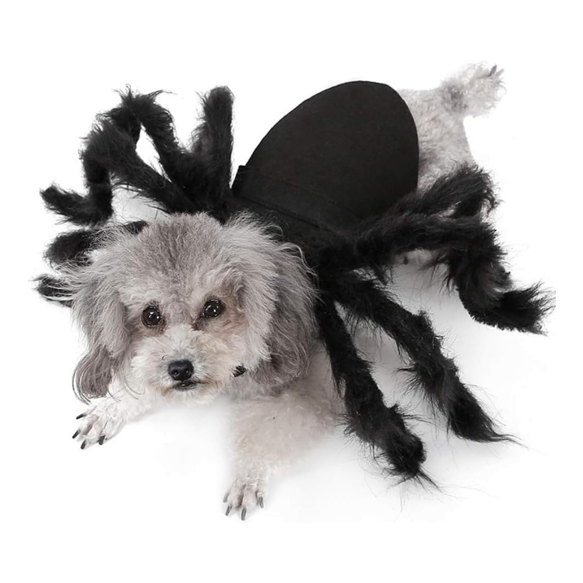 Pet Spider Costume - Halloween Spider Costume for Cats and Small to Medium Dogs Halloween Party Dress Up Festival Decoration Cosplay Pet Costume (S)