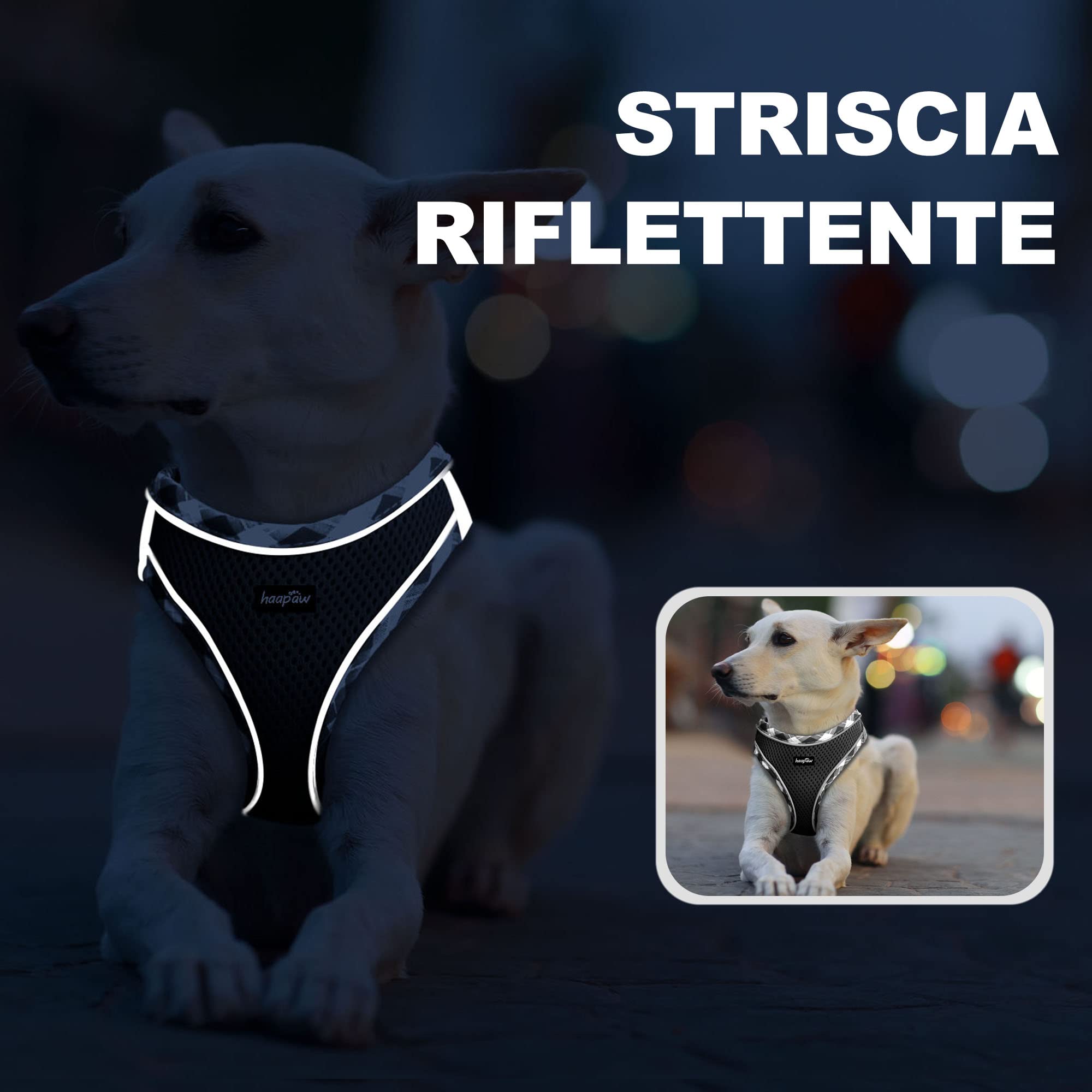haapaw Pettorina per cani e guinzaglio, senza tirare, regolabile, riflettente Step-in, pettorina imbottita ispessita, per cani extra piccoli/piccoli e medi