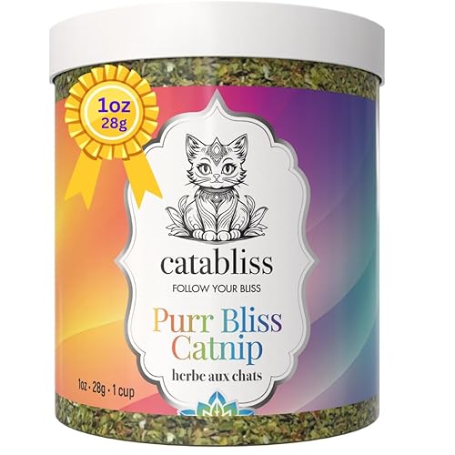 catabliss Catnip for Cats – 1oz Jar - 100% Essential Natural Cat Nip Herb Resealable Jar - Fresh Aroma Stimulates Activity & Enhancing Play for Indoor Cats - Great for Cat Nip Toys, Play & Training - 1