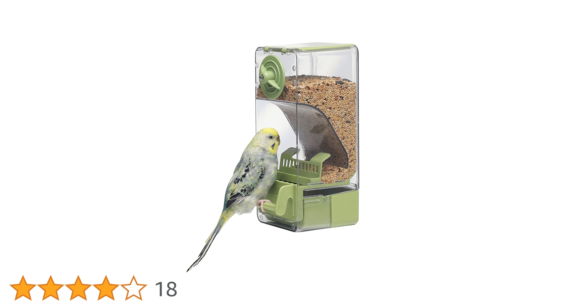 61YdgveLv8L.jpg_BO30,255,255,