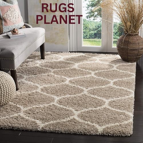 Image of Shaggy Area Rug for Living Room and Bedroom 3X5 FT Soft Plush Floor Carpet with Fluffy Texture, Modern Decorative Rug,Bedside and Indoor Spaces,Beige-Ivory