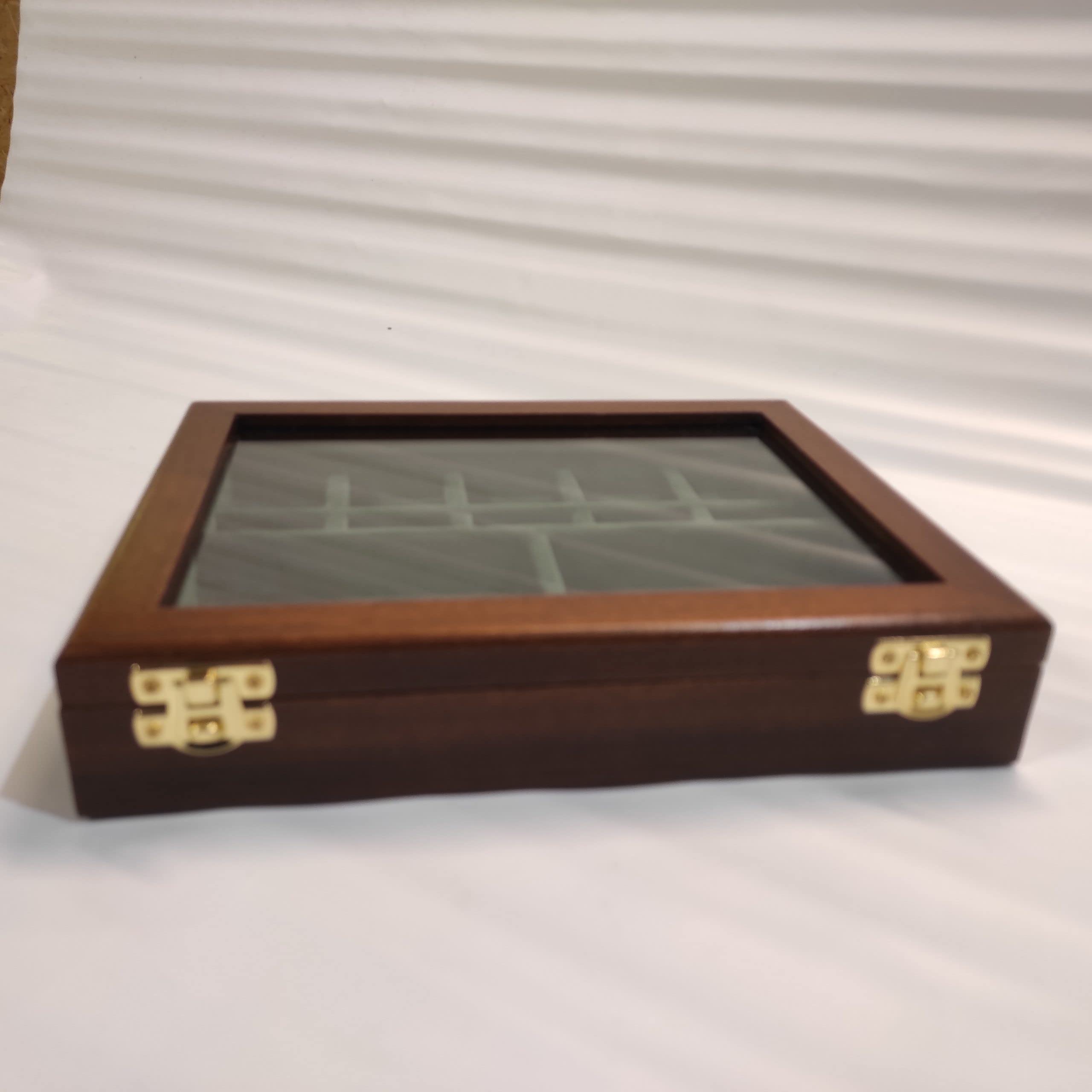 Expositor de Madera y Cristal para Monedas, fósiles y Conchas, 12 Compartimentos, Caja coleccionista Artesanal Hecha a Mano, numerada, con Certificado de autenticidad