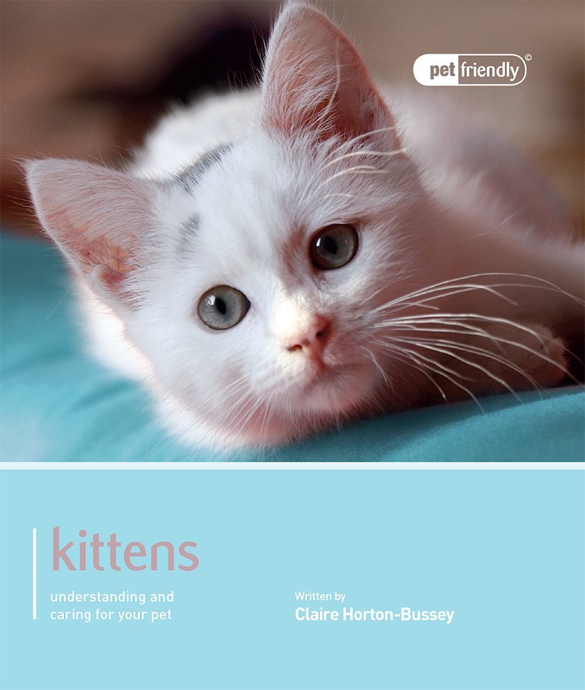Kitten - Pet Friendly by Claire Hurton Bussey (Paperback Book)