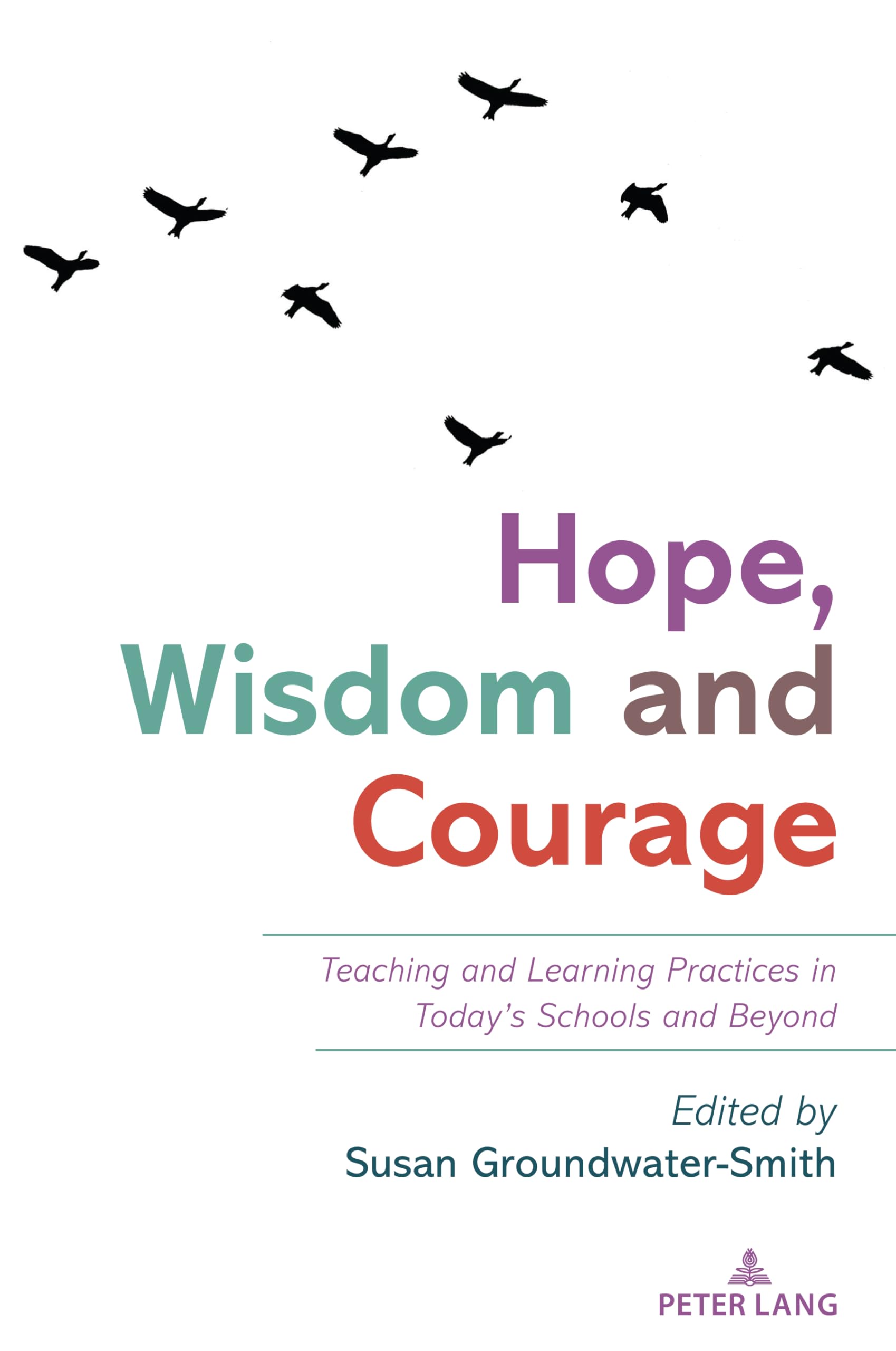 Hope, Wisdom and Courage: Teaching and Learning Practices in Today’s Schools and Beyond: 559 (Counterpoints)