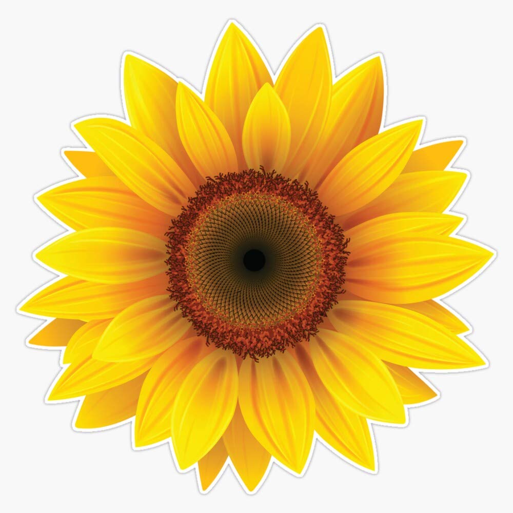 Cool Sunflower Vinyl Waterproof Sticker Decal Car Laptop Wall Window Bumper Sticker 5"