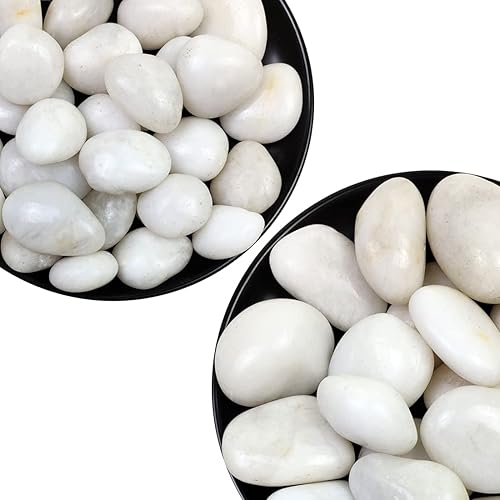 Rocas blancas de río de 0.7-1.2 pulgadas, 5 libras y 1-2 pulgadas, 5 libras, piedras naturales para plantas de interior, piedras decorativas de alto