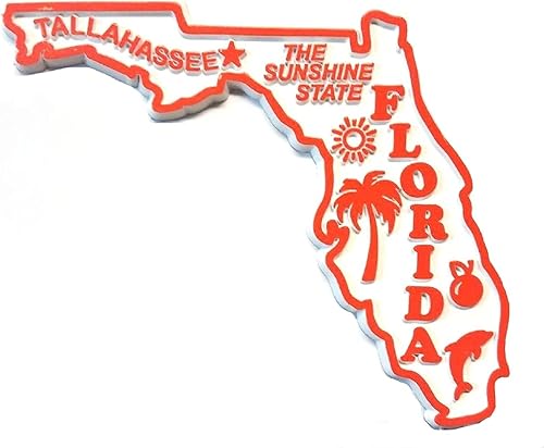 Imán para nevera de Florida The Sunshine State