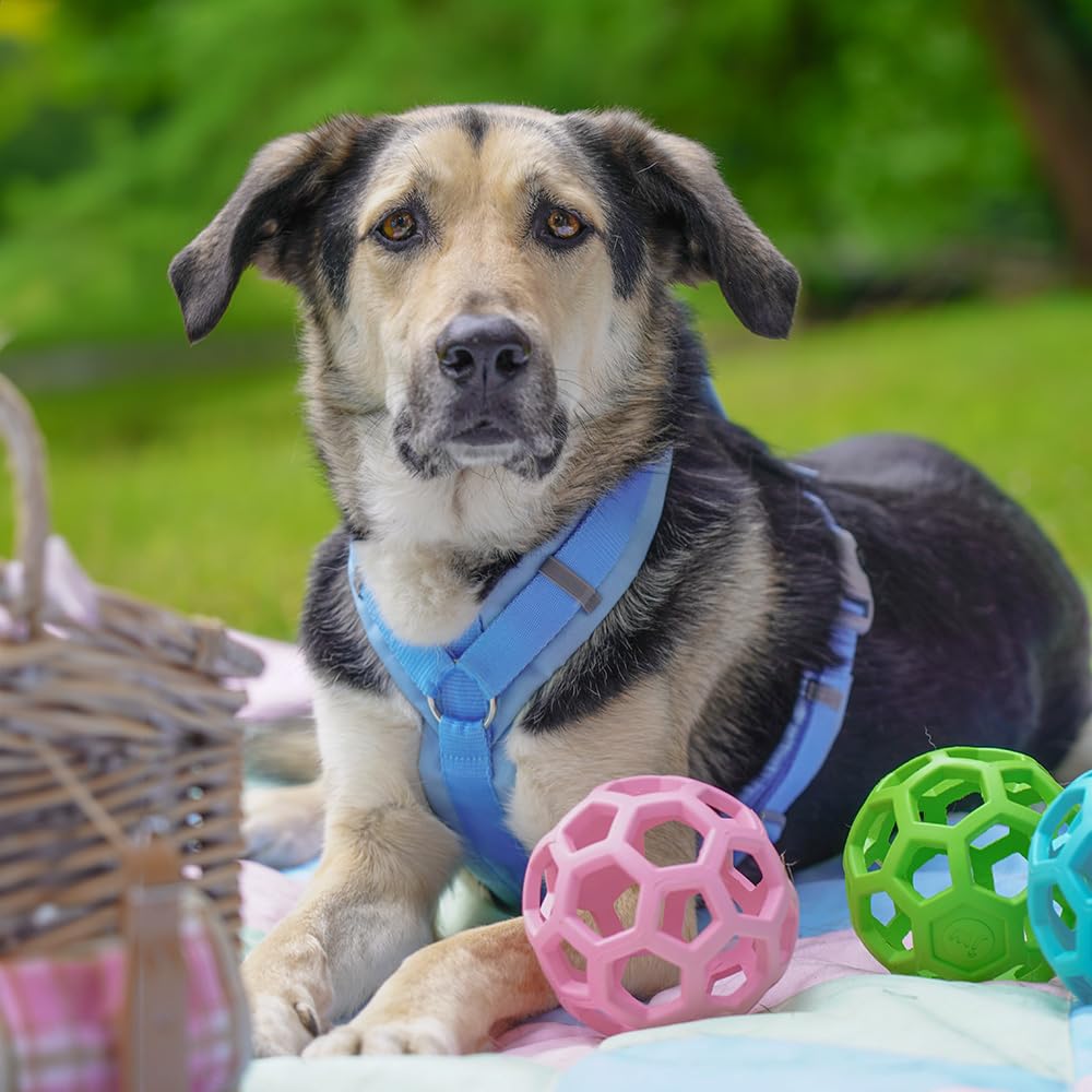 Anny-X Brustgeschirr Fun Marshmallow | Hundegeschirr Größe M (Brustumfang 62-74 cm)