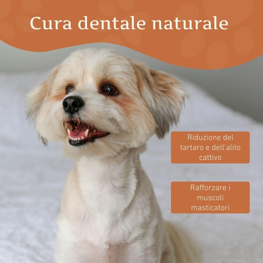 Wildfang Snack per Cani in Formaggio Duro XS 28 g per Cani fino a 10 kg Bastoncino da Masticare Himalayan Durezza tipo Yak Masticativi Naturali per Cani stile Churpi Confezione da 1