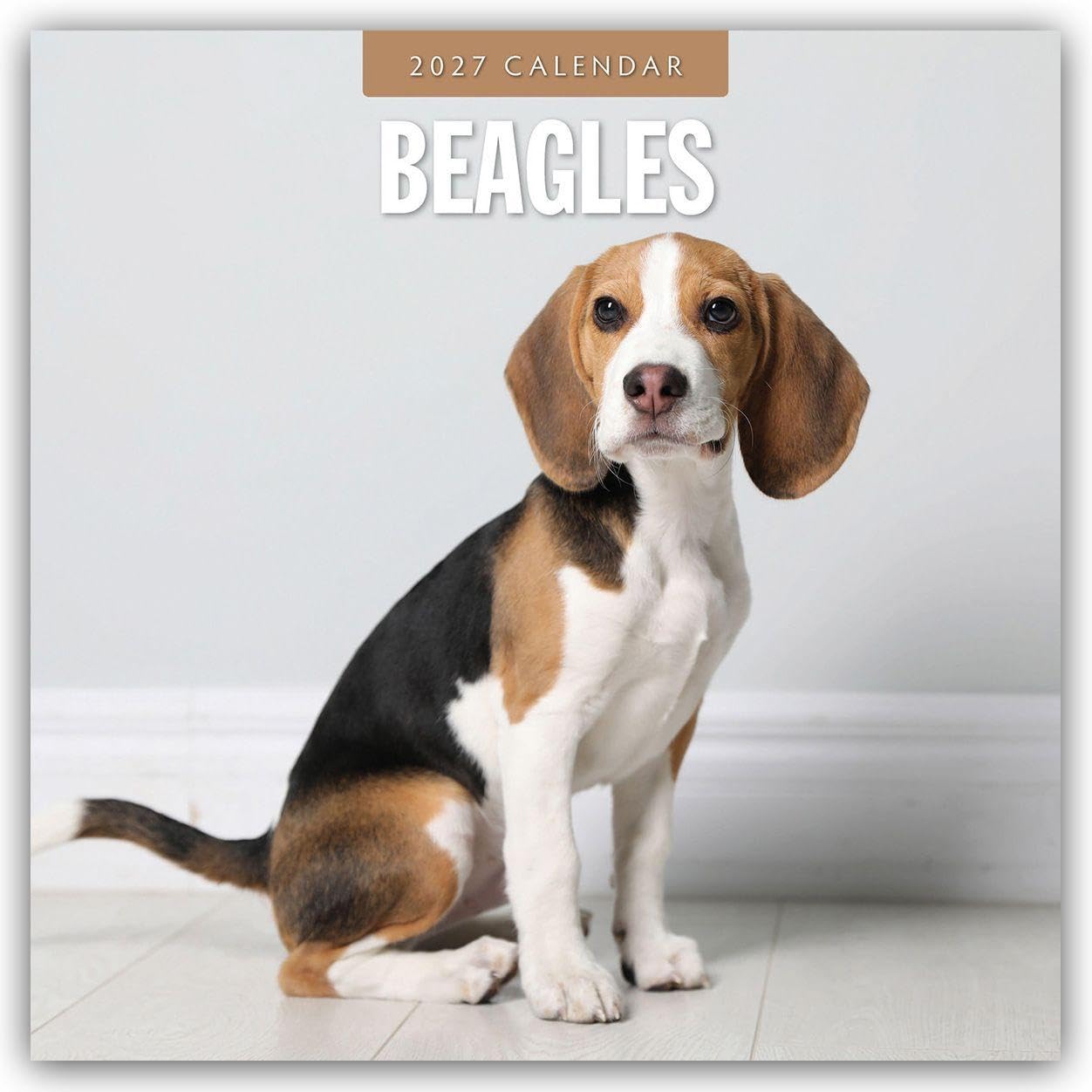 Beagles 2027 Square Wall Calendar: Original Red Robin Publishing Ltd-Kalender [Mehrsprachig] [Kalender]