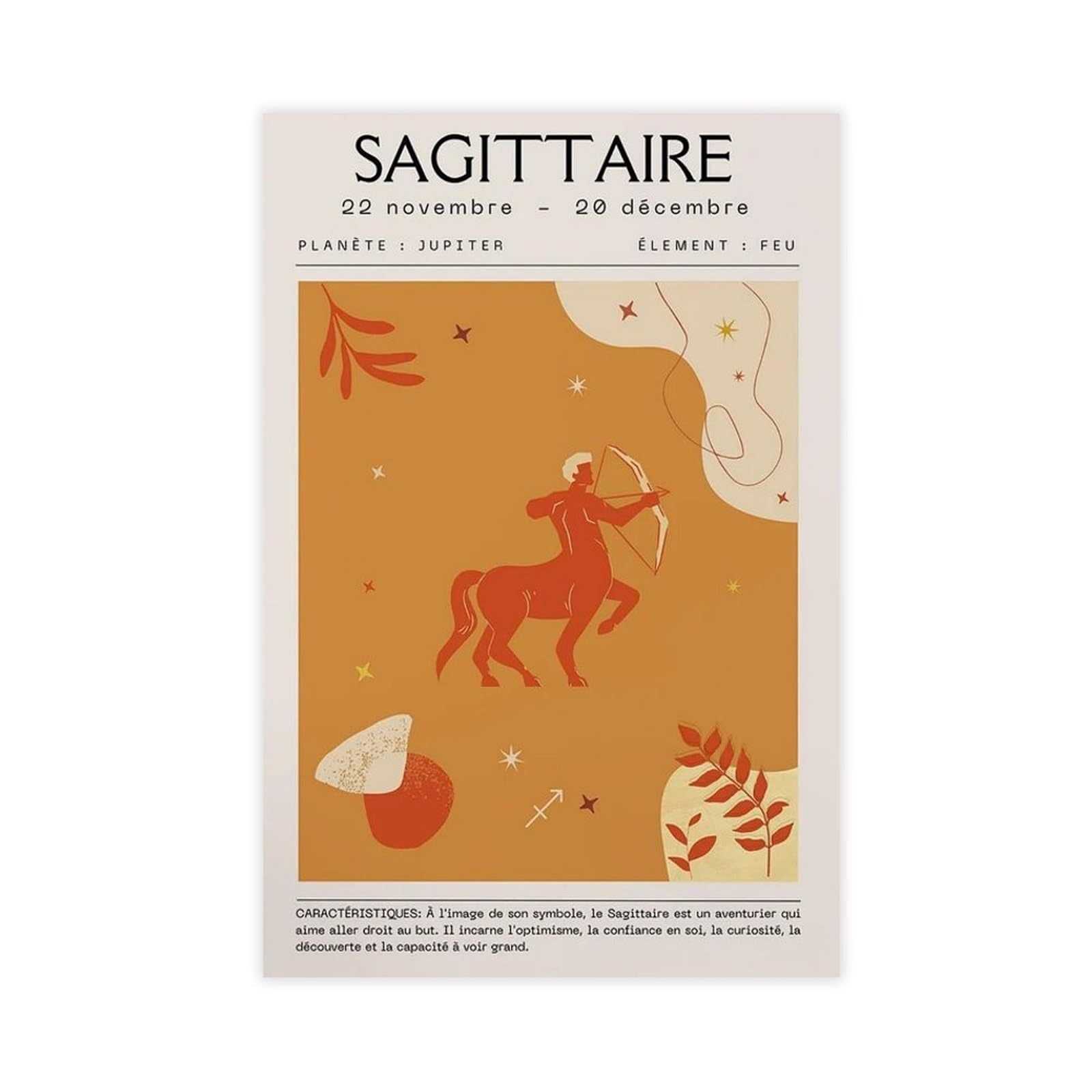 Poster astrologique Sagittaire toile cadeau d'anniversaire idéal 40x61cm - 8