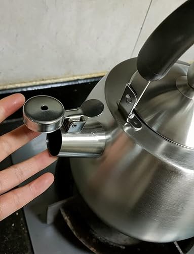 Miniatura 6 de RUTAVM Estufa de acero inoxidable 316 con tapa de boquilla y tapa de boquilla, hervidor de agua caliente, tetera de té, tetera (color  acero, tamaño