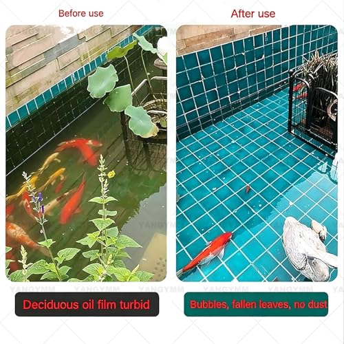 Skimmer flotante para piscinas y estanques con bomba de succión potente de 43W 5