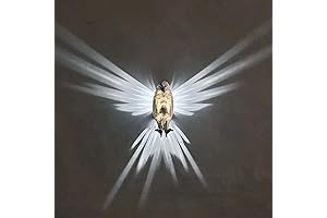 3D Eagle Wall Sconce: A Majestic Illuminate