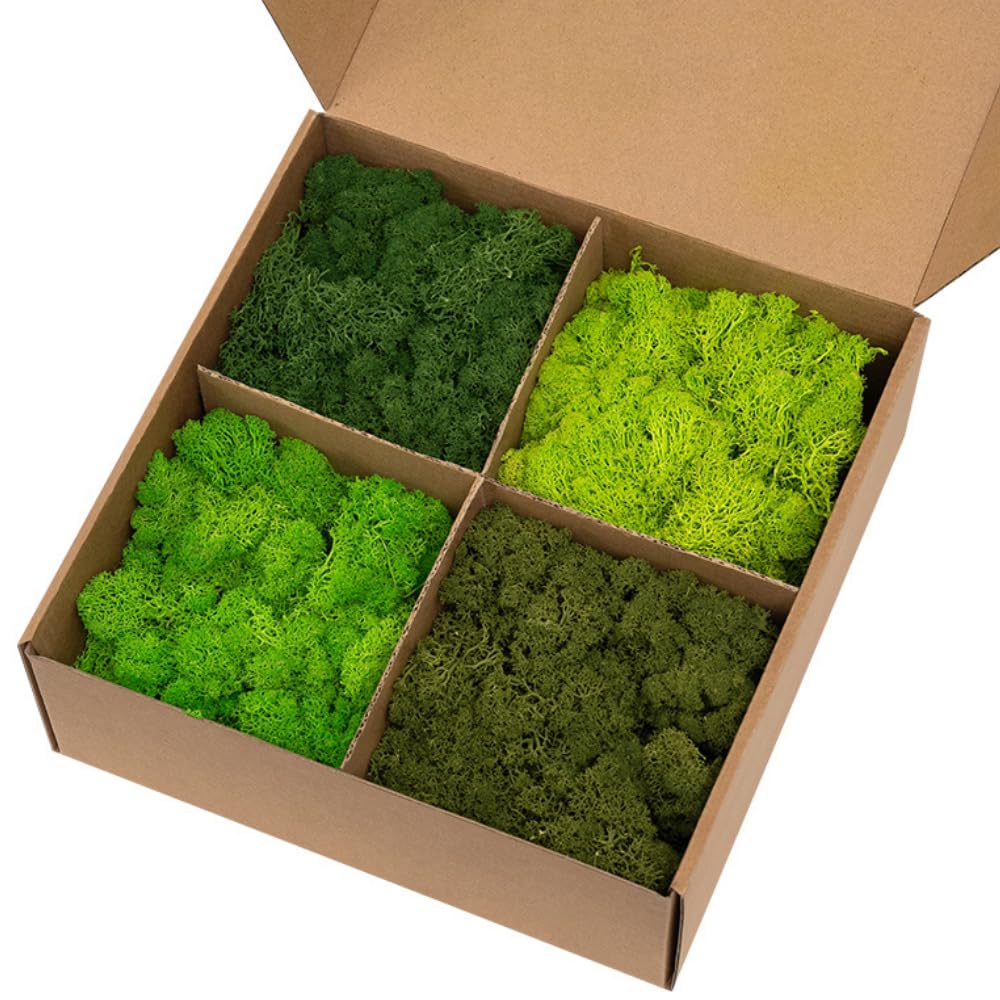 Zencewell Olive Haven Preserved Reindeer Moss Craft Natural Green Moss Mix Art Wall Decor Easter Table Wedding Decor (Green Mix, 0.88 Lb / 400 G)