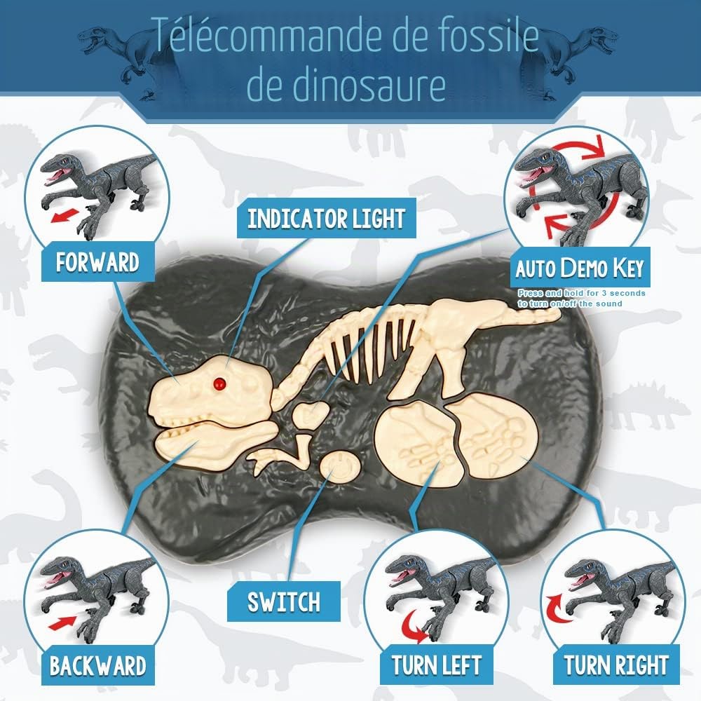 Jouets dinosaures télécommandés 2,4 G,vélocirapteur électronique éducatif avec lumières et sons,jouets robot dinosaure alimentés par batterie rechargeable,meilleurs jouets RC cadeaux pour enfants | lumière LED & Sons,2.4Ghz Jurassique Vélociraptor,Jouets