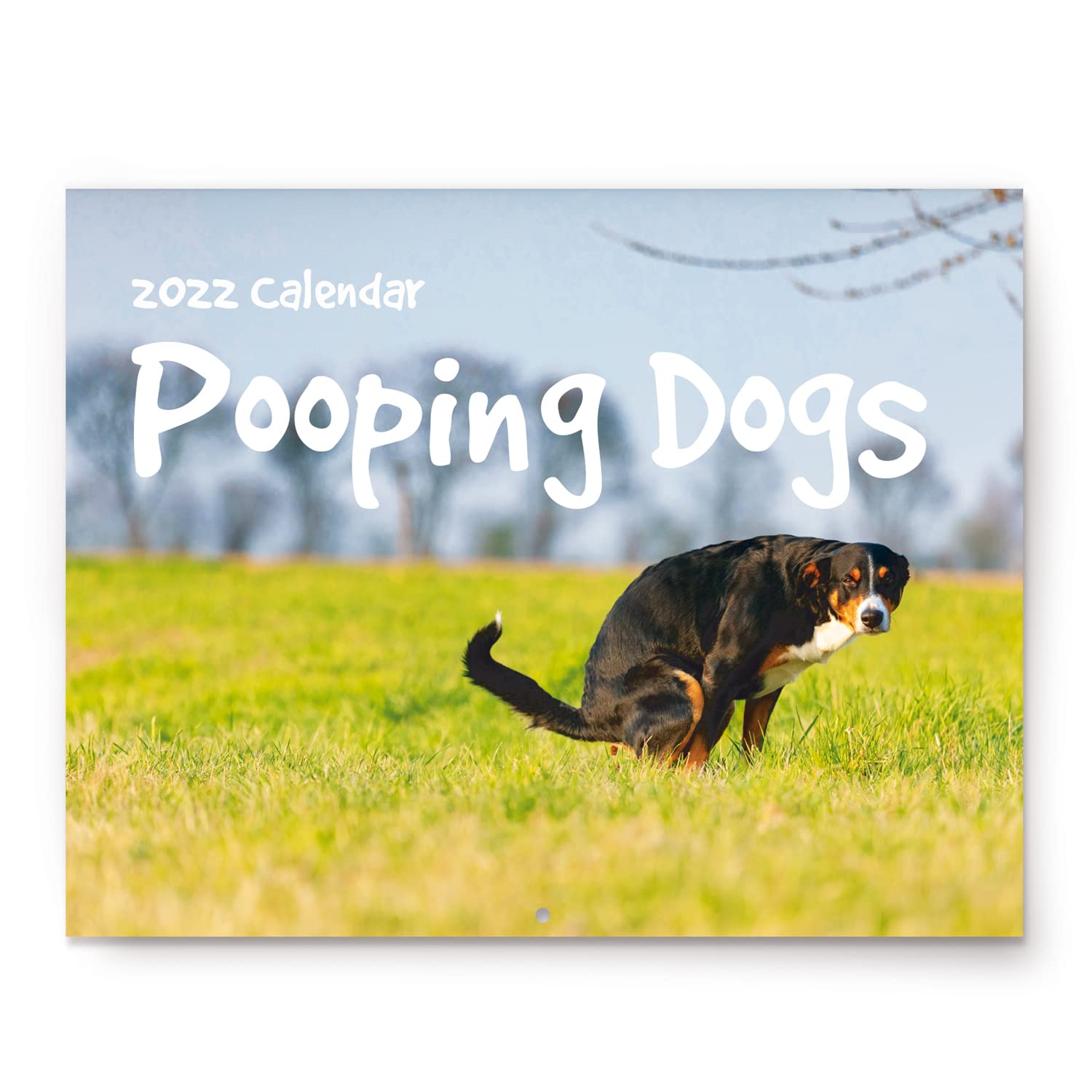 Buy Pooping Dogs 2022 Wall Large 11" x 17" When Open Funny Gag