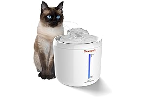67oz/2L Pet Fountain Water Dispenser: Hydration Haven for Your Furry Friends
