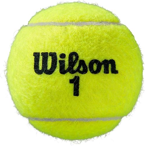 Miniatura 4 de WILSON Roland Garros Clay Court - Estuche para pelotas de tenis