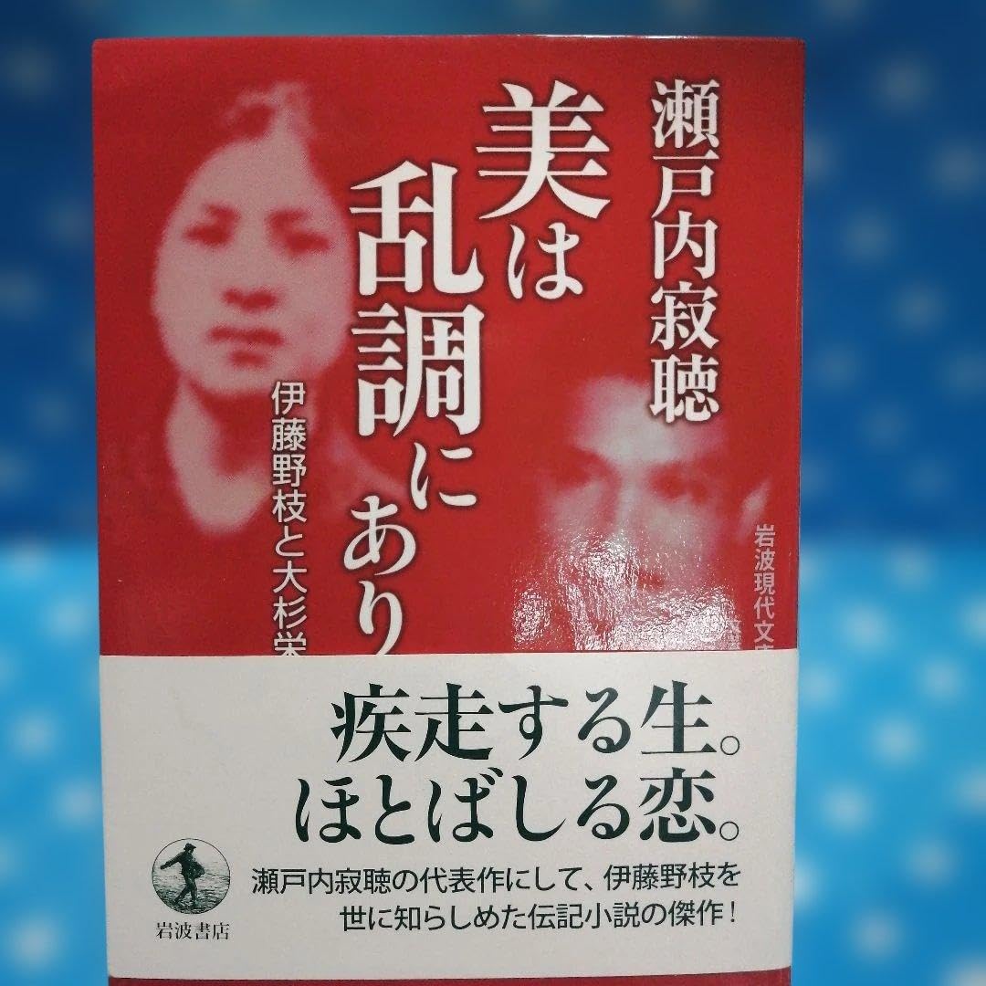 美は乱調にあり 伊藤野枝と大杉栄