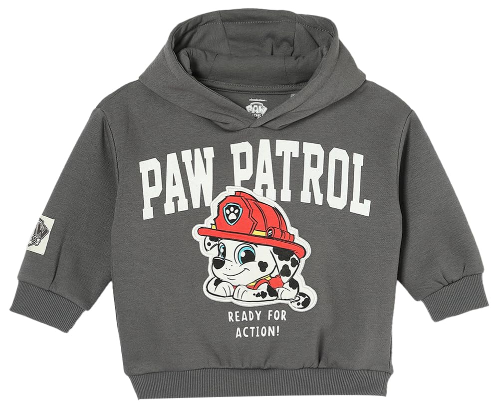 Max Boys Paw Patrol Printed Sweatshirt
