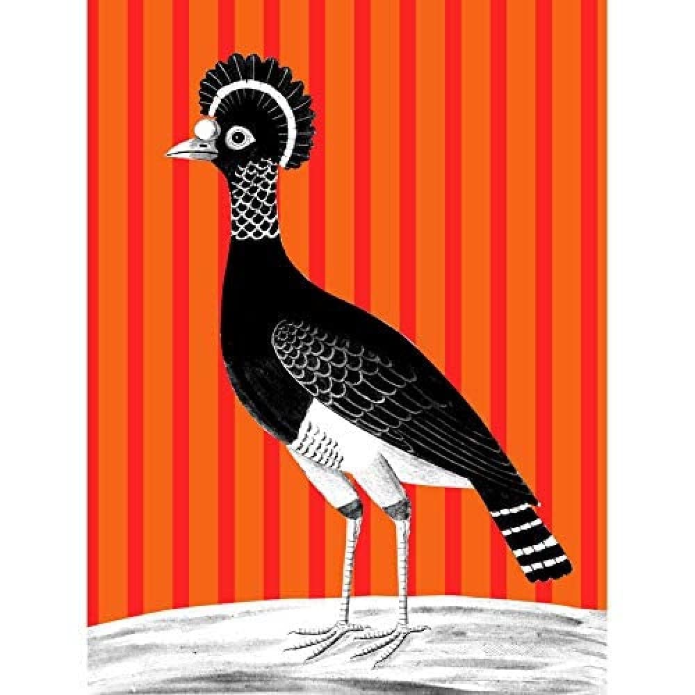 Wee Blue Coo Tall Birds On Stripes Carafson Hen Unframed Art Print Poster Wall Decor 12X16 Inch