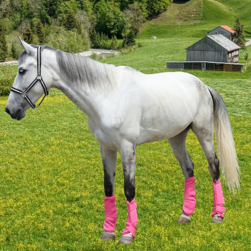 Image of Horse Fly Boots, Mesh Fly Boots for Horse Set of 4, Equine Leg Protection | Breathable Horse Leg Fly Wraps, Horse Leggings Reduce Stomping, Non-Slip Leg Guards for Mini Pony Horse Donkey