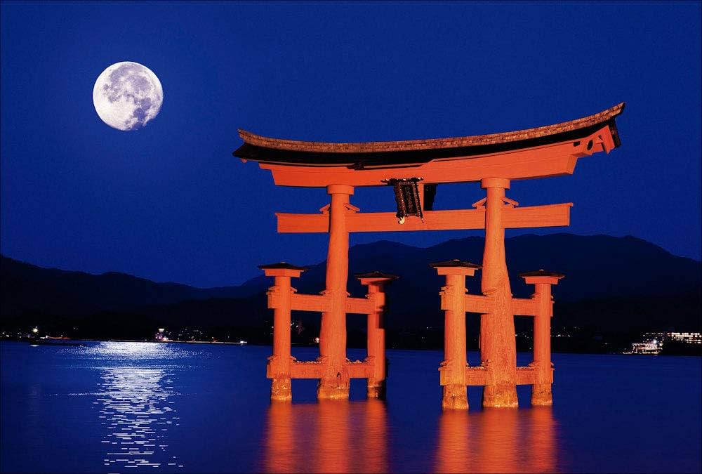日本の神社 17冊　専用 61T9vn9artL._AC_SY200_QL15_.jpg