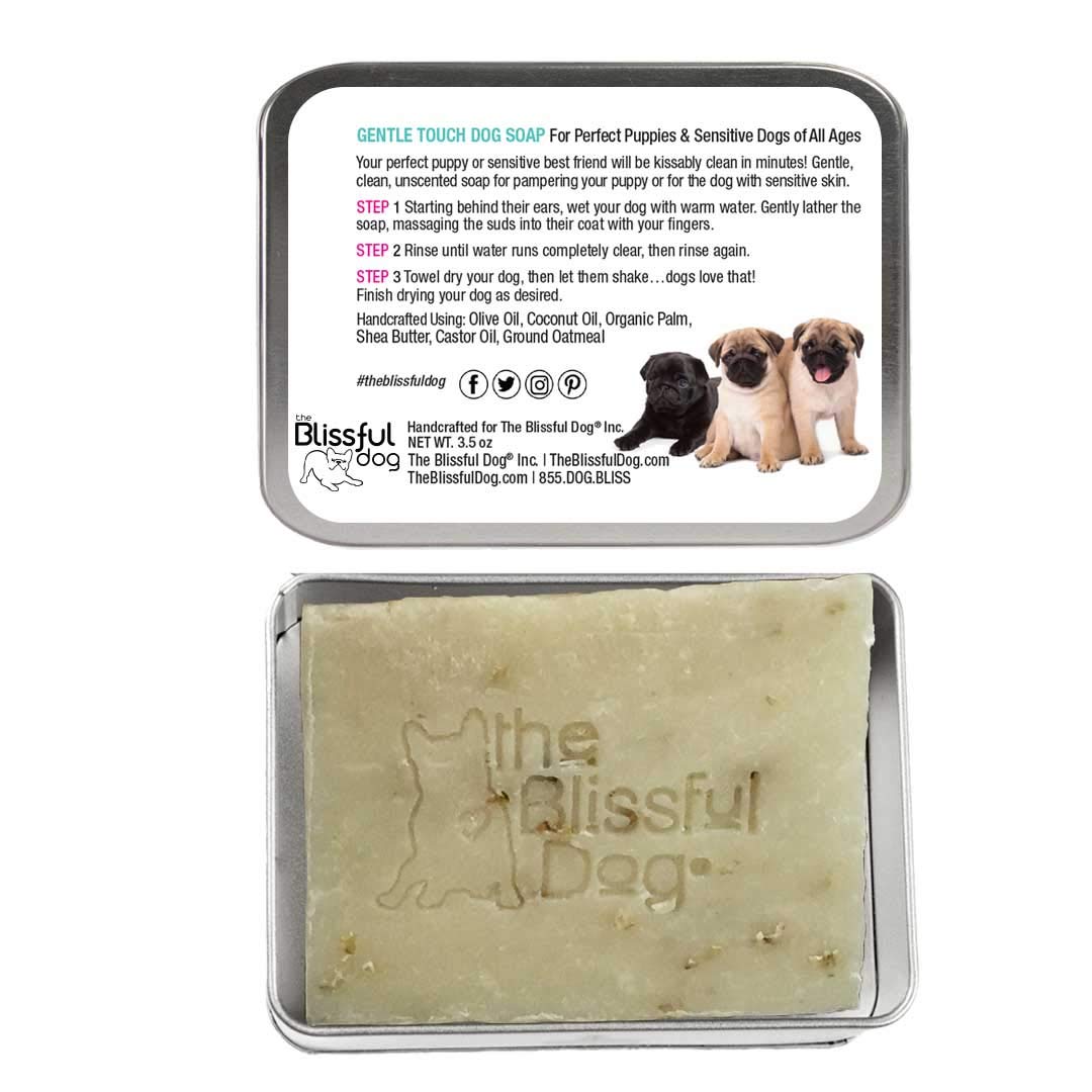 Which Soap Is Best For Dogs