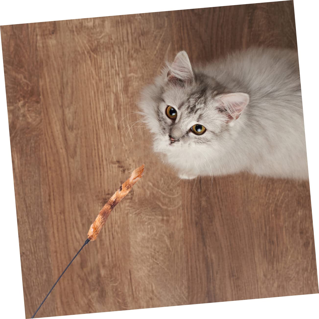 Kisangel 15 Piezas De Juguete Giratorio para Gatos Suministros para Mascotas Juguetes para Gatitos Juguetes para Ejercitar Gatos Juguete De Hadas Juguetes para Gatitos Juguetes