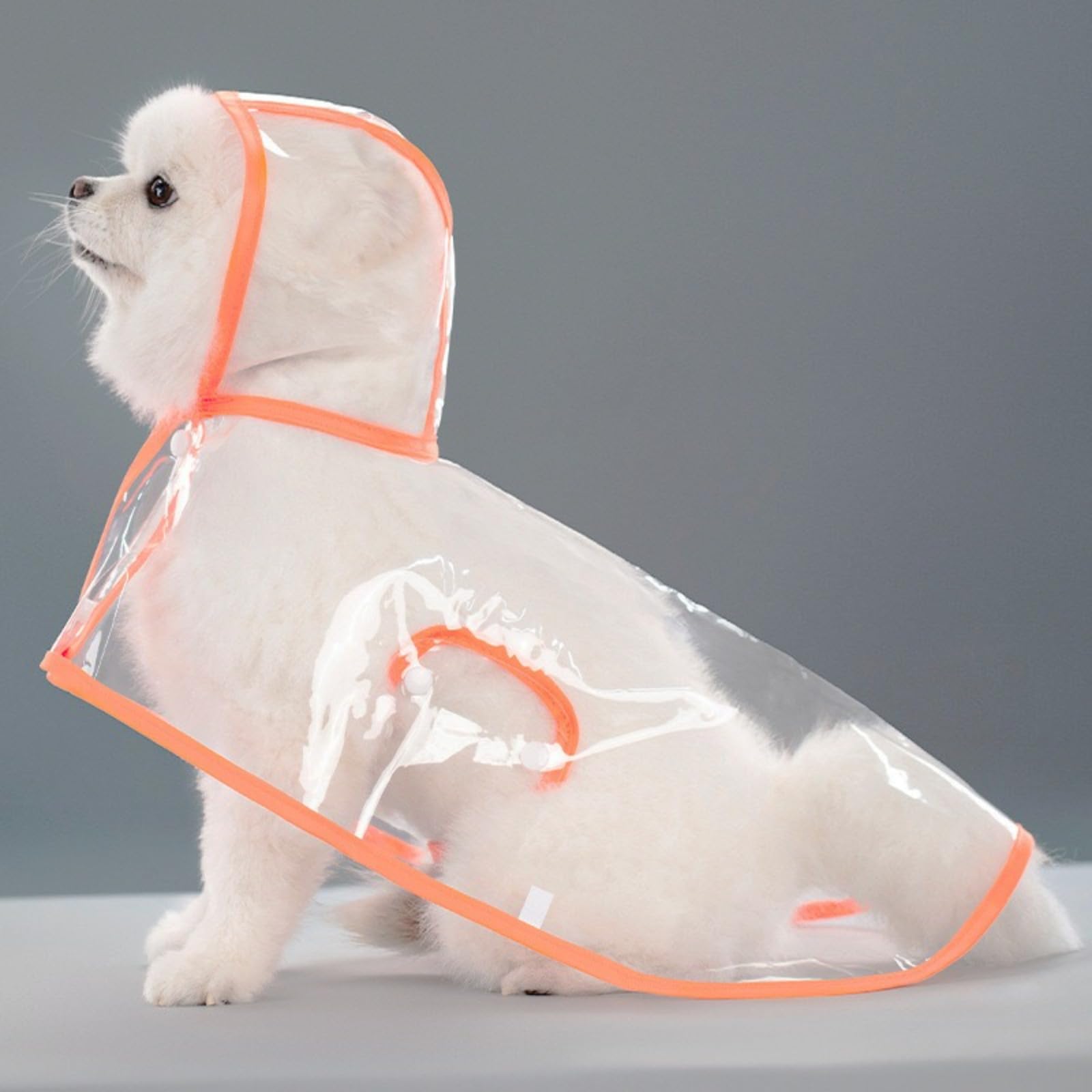 Poncho pour chien étanche et respirant en EVA transparent pour petits et grands animaux