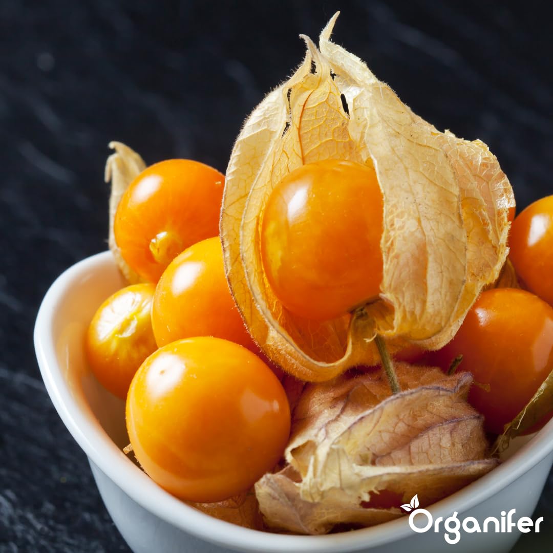 Physalis Nawóz Organiczny Do Roślin Owocowych - 10L - NPK 2-1-8 | Zdrowe Liście - Silne Korzenie I Wysoka Plonność - Organifer